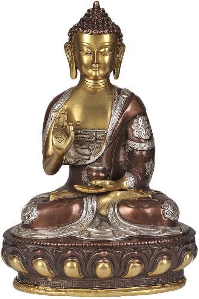 Dharmic Robe Lord Buddha Explaining His Dharma (Robes Decorated with Auspicious ...