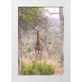 thumbnail image 1 of Lord, Fred 11x14 White Modern Wood Framed Museum Art Print Titled - Africa, South Africa Giraffe stands under tree, 1 of 4
