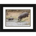 thumbnail image 1 of Lord, Fred 14x11 Black Ornate Wood Framed with Double Matting Museum Art Print Titled - South Africa Adult and juvenile hippopotamus, 1 of 4