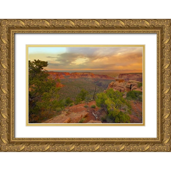Lord, Fred 14x11 Gold Ornate Wood Framed with Double Matting Museum Art Print Titled - Colorado, Fruita Sunrise over Colorado NM