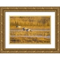 thumbnail image 1 of Lord, Fred 14x11 Gold Ornate Wood Framed with Double Matting Museum Art Print Titled - New Mexico Greater sandhill cranes landing, 1 of 4