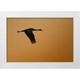 thumbnail image 1 of Lord, Fred 14x11 White Modern Wood Framed Museum Art Print Titled - New Mexico Lone sandhill goose flying at sunset, 1 of 4