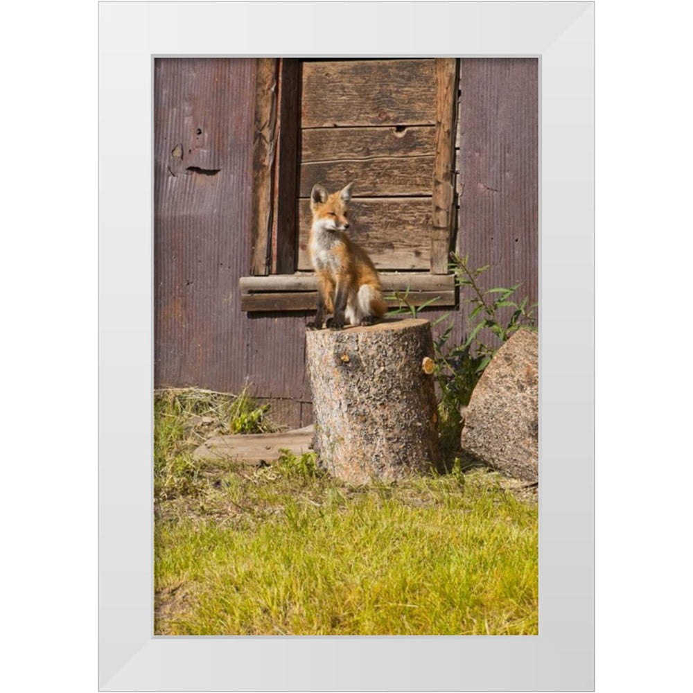Lord, Fred 23x32 White Modern Wood Framed Museum Art Print Titled - CO ...