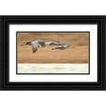 thumbnail image 1 of Lord, Fred 24x15 Black Ornate Wood Framed with Double Matting Museum Art Print Titled - New Mexico Group of sandhill geese flying, 1 of 4