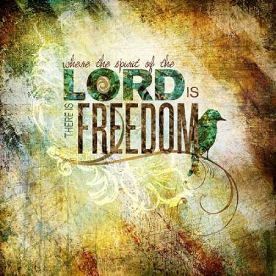 Lord Freedom Canvas Art - Sally Barlow (24 x 24)