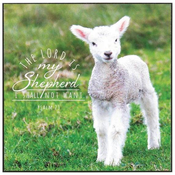 Lord Is My Shepard White Lamb 6 x 6 MDF Decorative Wall and Tabletop Frame