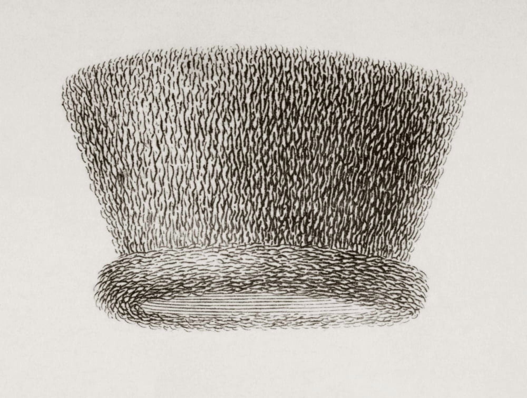 Lord Mayor Of Londons Hat 19Th Century From The Cyclopaedia Or Universal Dictionary Of Arts Sciences And Literature By Abraham Rees Published London 1820 Canvas Art - Ken Welsh Design Pics (17 x 13)