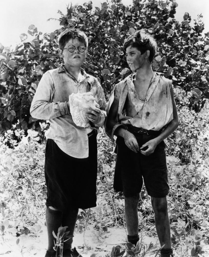Lord Of The Flies Canvas Art - (16 x 20)