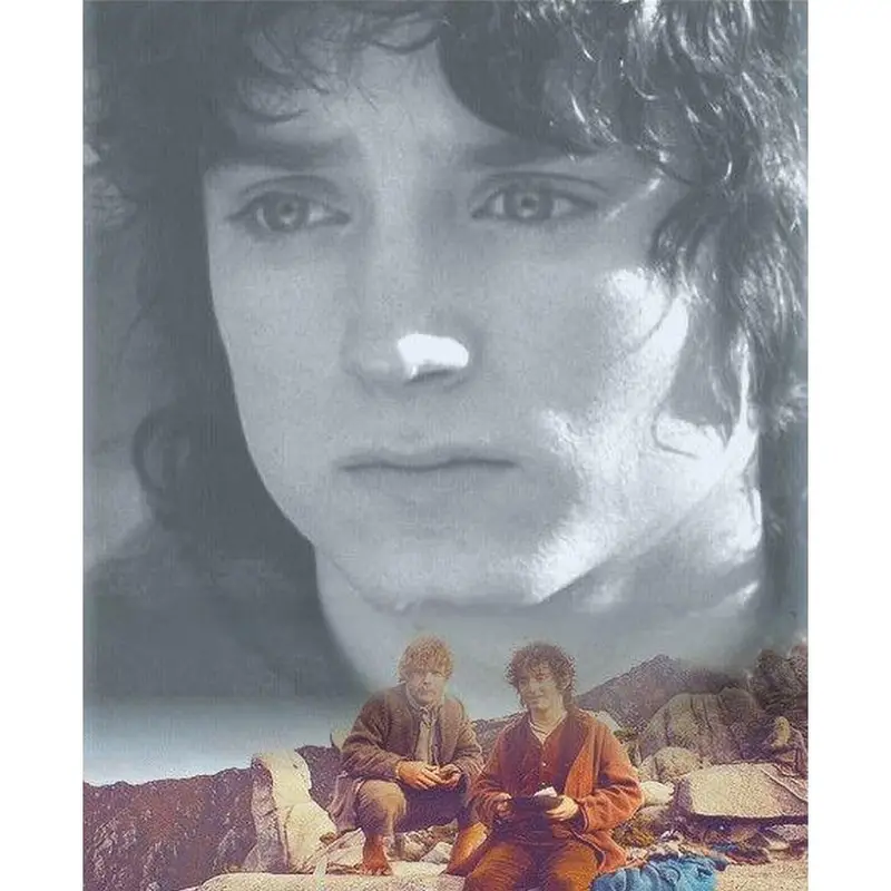 The Lord of The Rings Frodo Baggins 5D Diamond Painting Tools for ...