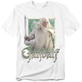 thumbnail image 1 of Lord of The Rings T-Shirt Gandalf Unisex Graphic Tee For Men & Women, 1 of 7