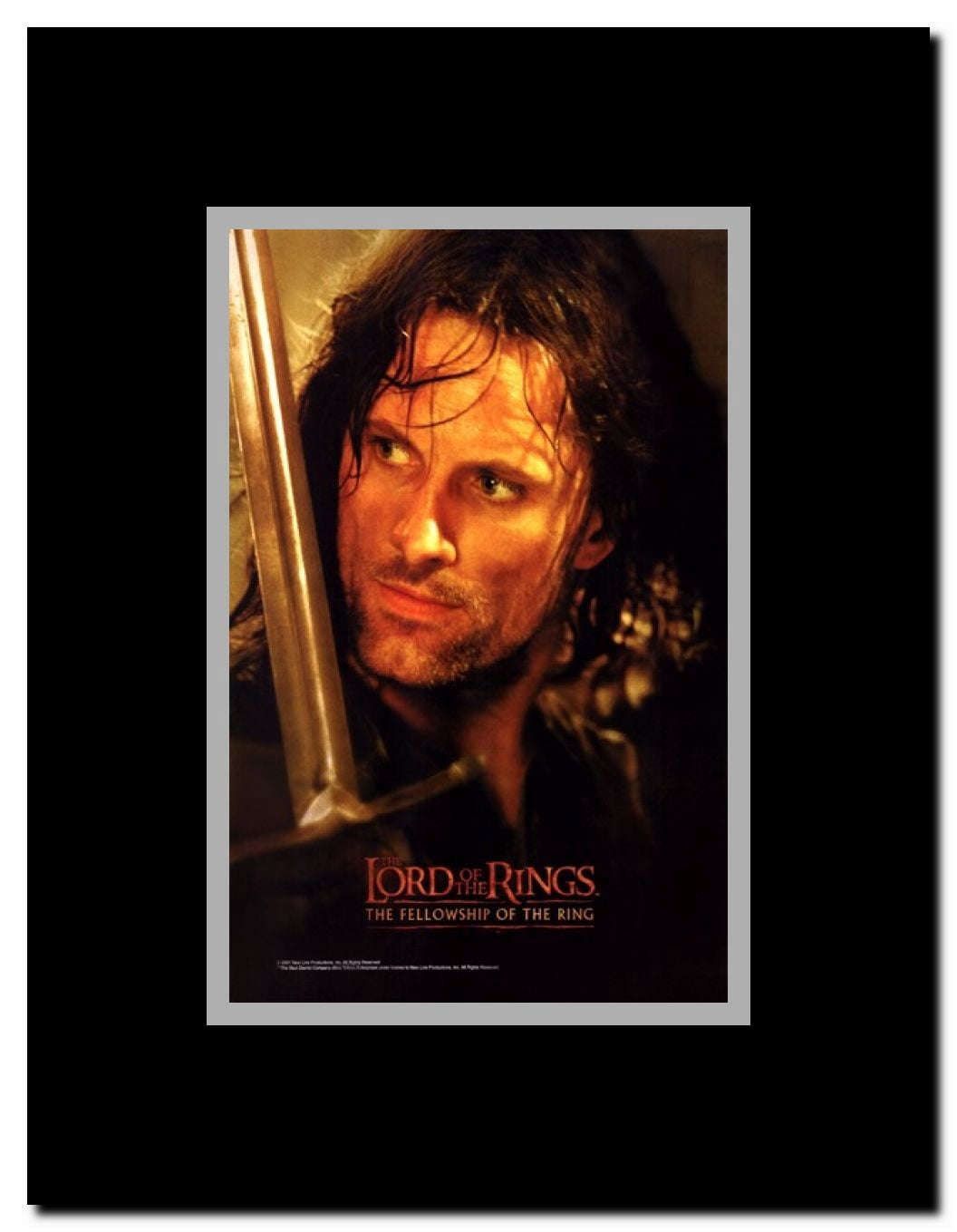 Lord of the Rings: Fellowship of the Ring Framed Movie Poster