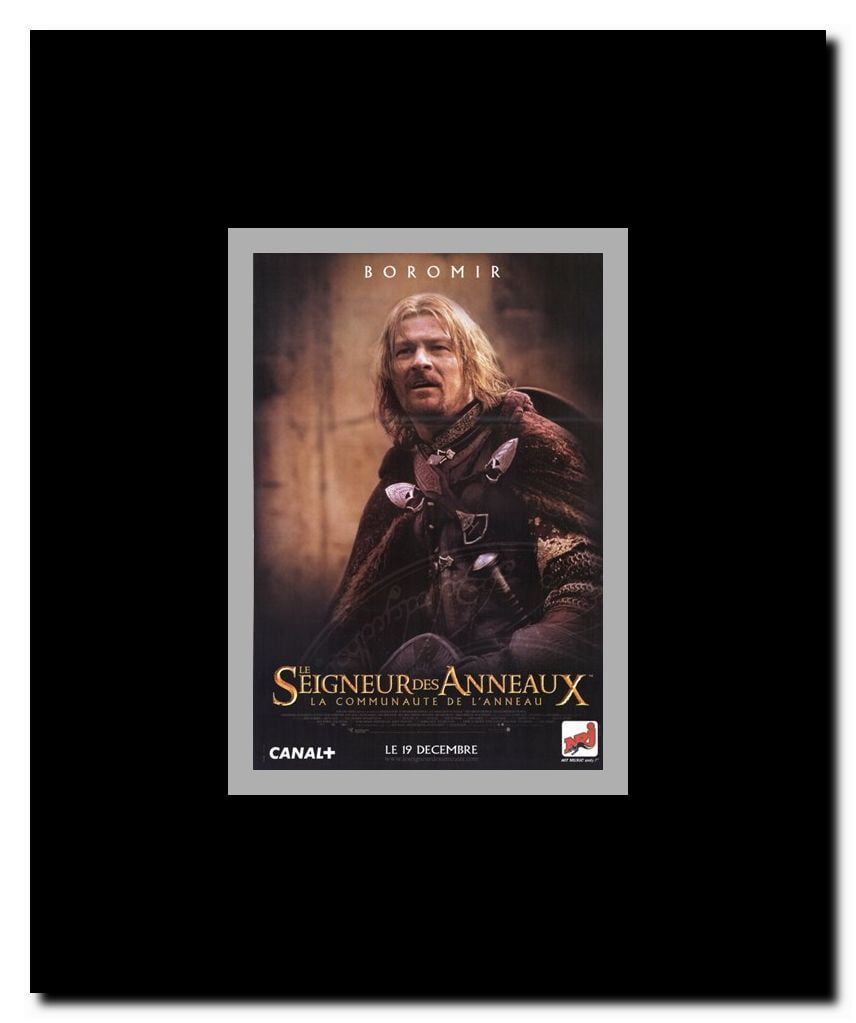 Lord of the Rings: Fellowship of the Ring Framed Movie Poster