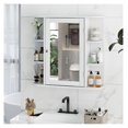Lorelia Wall Mounted Multipurpose Bathroom Storage Display Mirror