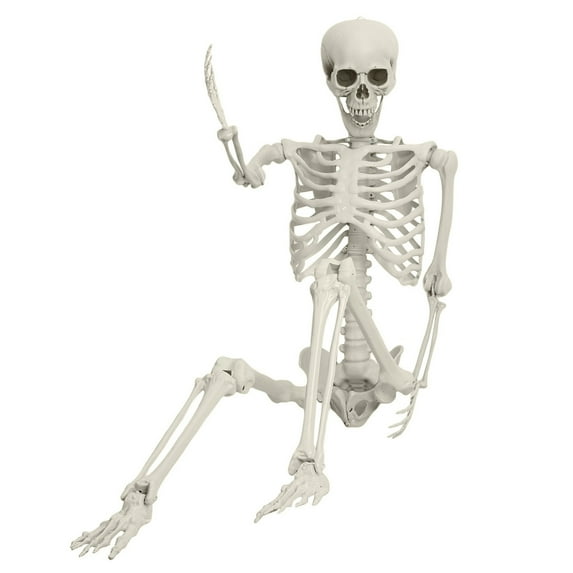 Lorelo 5.4FT Poseable Skeleton Prop Life Size Plastic Halloween Human Bones Skeleton Party Supplies