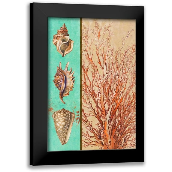 Loreth, Lanie 11x14 Black Modern Framed Museum Art Print Titled - Coral and Sea Shells I