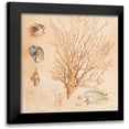 thumbnail image 1 of Loreth, Lanie 12x12 Black Modern Framed Museum Art Print Titled - Coral Medley II, 1 of 5