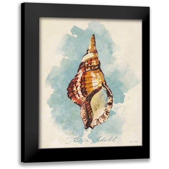 Loreth, Lanie 12x14 Black Modern Framed Museum Art Print Titled - Triton Shell