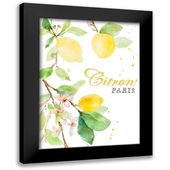 Loreth, Lanie 14x18 Black Modern Framed Museum Art Print Titled - Spring Citron In Paris