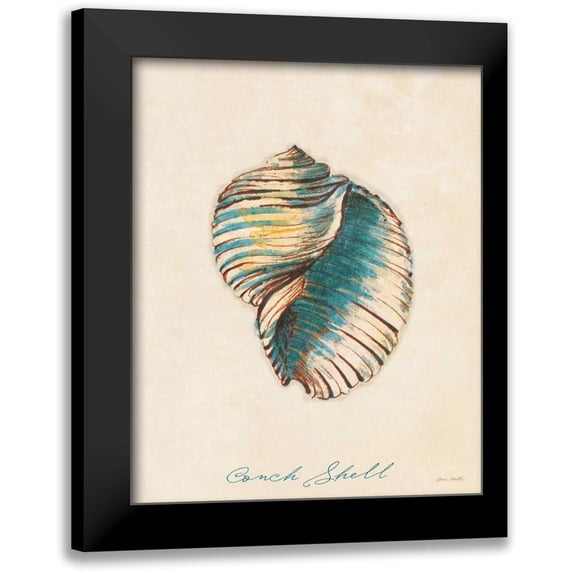 Loreth, Lanie 15x18 Black Modern Framed Museum Art Print Titled - Conch Shell