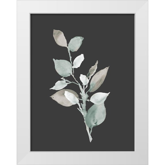 Loreth, Lanie 19x24 White Modern Wood Framed Museum Art Print Titled - Eucalyptus Branch On Charcoal II