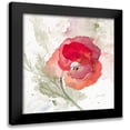 thumbnail image 1 of Loreth, Lanie 20x20 Black Modern Framed Museum Art Print Titled - Translucent Poppy II, 1 of 5