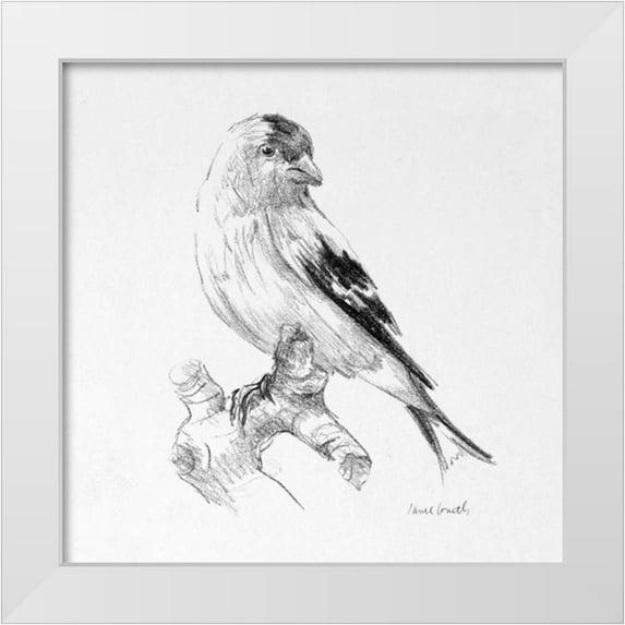 Loreth, Lanie 20x20 White Modern Wood Framed Museum Art Print Titled - Bird Drawing II