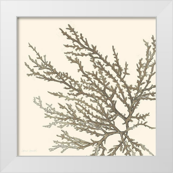 Loreth, Lanie 20x20 White Modern Wood Framed Museum Art Print Titled - Brown Coastal Coral I
