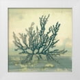 thumbnail image 1 of Loreth, Lanie 26x26 White Modern Wood Framed Museum Art Print Titled - Coastal Coral I, 1 of 4