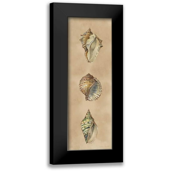 Loreth, Lanie 7x14 Black Modern Framed Museum Art Print Titled - Seashells Panel II