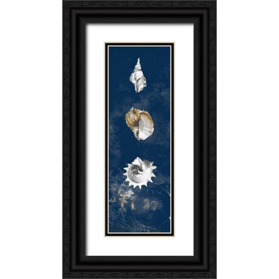 Loreth, Lanie 7x14 Black Ornate Wood Framed with Double Matting Museum Art Print Titled - Coastal Shells Panel II