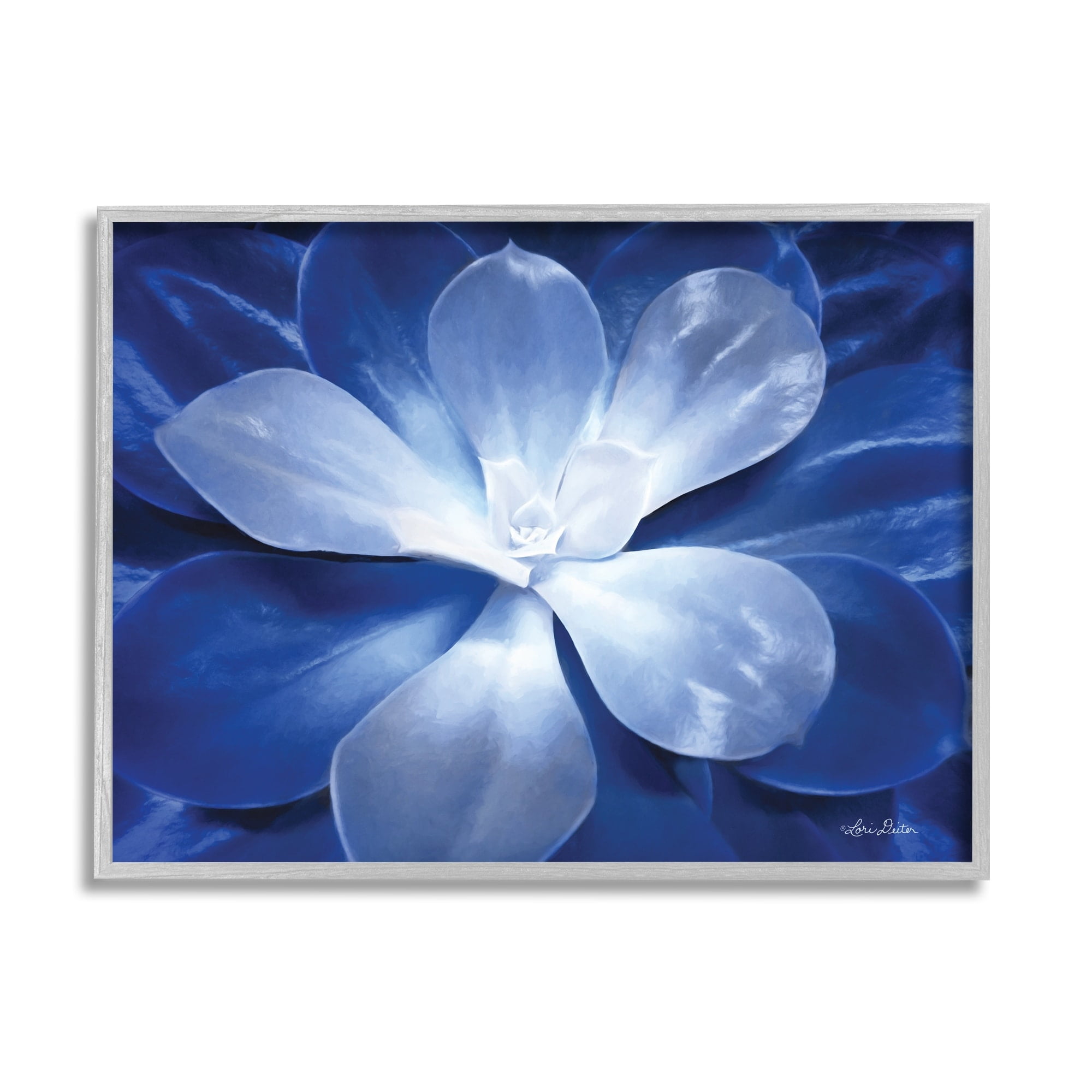 Lori Deiter Monochromatic Blue Succulent Plant Detailed Botanical Petals 20 in x 16 in Framed Painting Art Print, by Stupell Home Décor