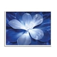 thumbnail image 1 of Lori Deiter Monochromatic Blue Succulent Plant Detailed Botanical Petals 20 in x 16 in Framed Painting Art Print, by Stupell Home Décor, 1 of 7