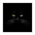 thumbnail image 1 of Lori Hutchison 'Black Cat Centered' Canvas Art, 1 of 4