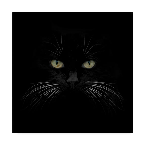 Lori Hutchison 'Black Cat Centered' Canvas Art