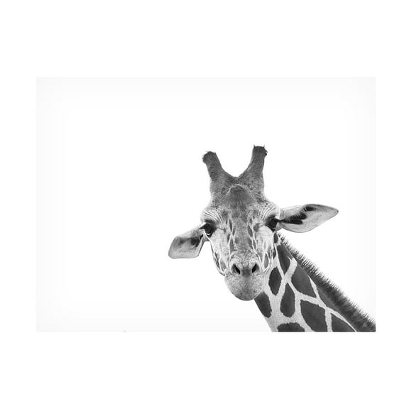 Lori Hutchison 'Giraffe' Canvas Art
