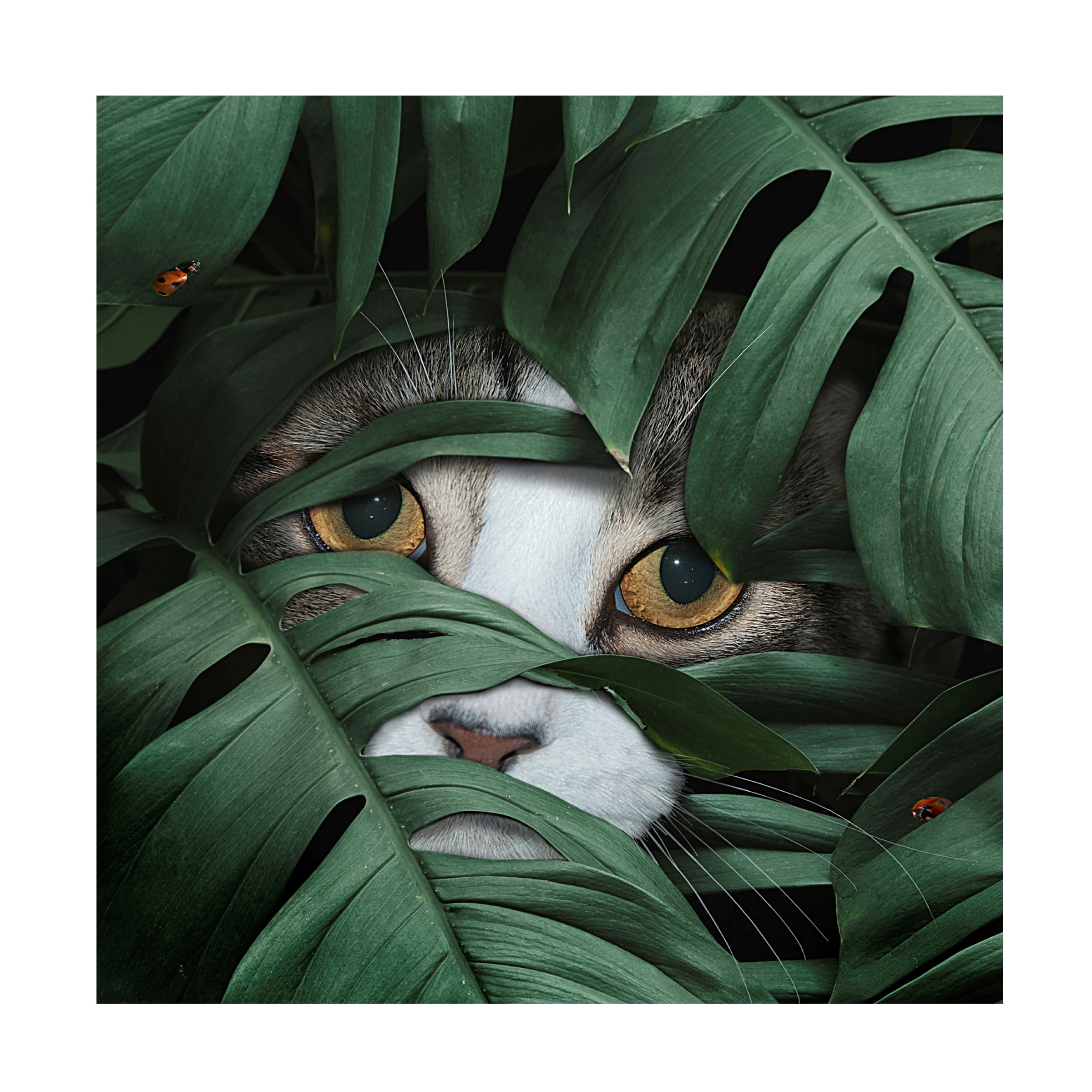 Lori Hutchison 'Sneaky Cat' Canvas Art