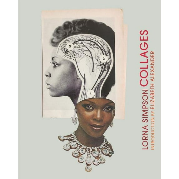 Lorna Simpson Collages: (Art Books, Contemporary Art Books, Collage Art Books), (Hardcover)