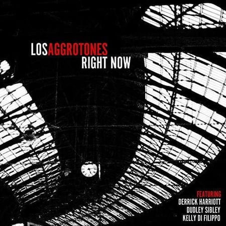 Los Aggrotones - Right Now - Vinyl