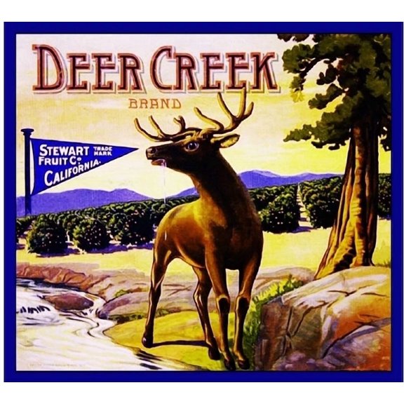 Los Angeles Stewart Deer Creek Orange Citrus Fruit Art Print Home Decor Office Wall Art