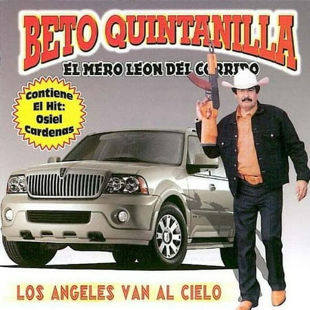 Los Angeles Van Al Cielo