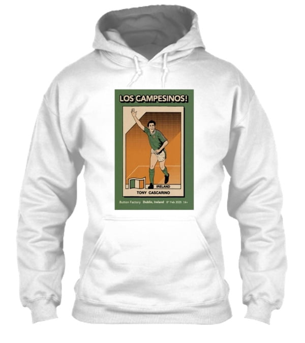 Los Campesinos! Feb 8 2025 The Button Factory in Dublin Ireland Tour