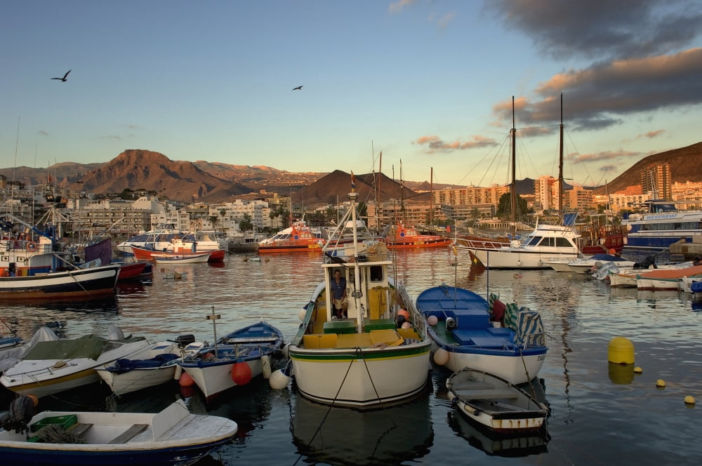 Los Cristianos Habour Los Cristianos Tenerife Canary Islands Spain Photo Canvas Art - Chris Parker Design Pics (38 x 24)