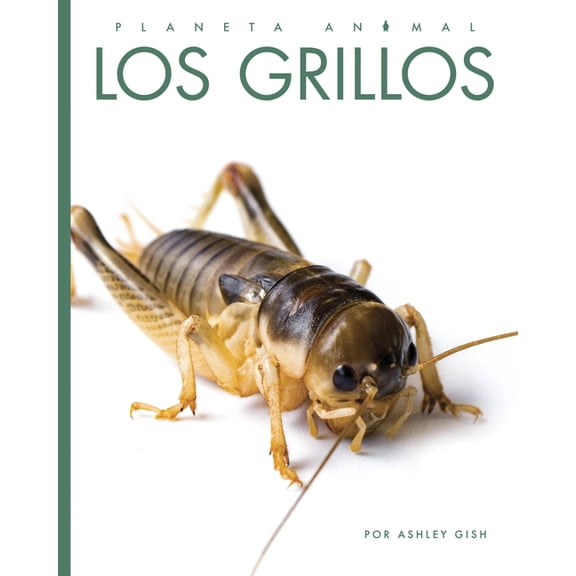 Los Grillos, (Paperback)