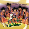 thumbnail image 1 of Los Pumas Del Norte - Corridos Verdaderos (CD), 1 of 1