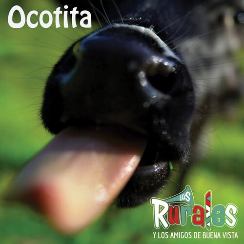 Los Rurales y los Amigos de Buenavista - Ocotita - Music & Performance - CD