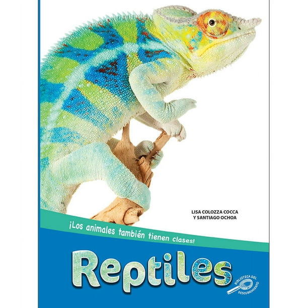 Clases De Reptiles: Descubre Las Fascinantes Variedades