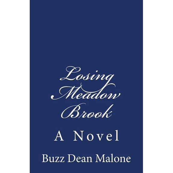 Losing Meadow Brook (Paperback)