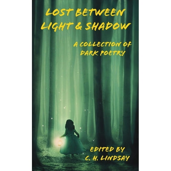 Lost Between Light & Shadow: A Collection of Dark Poetry (Paperback)