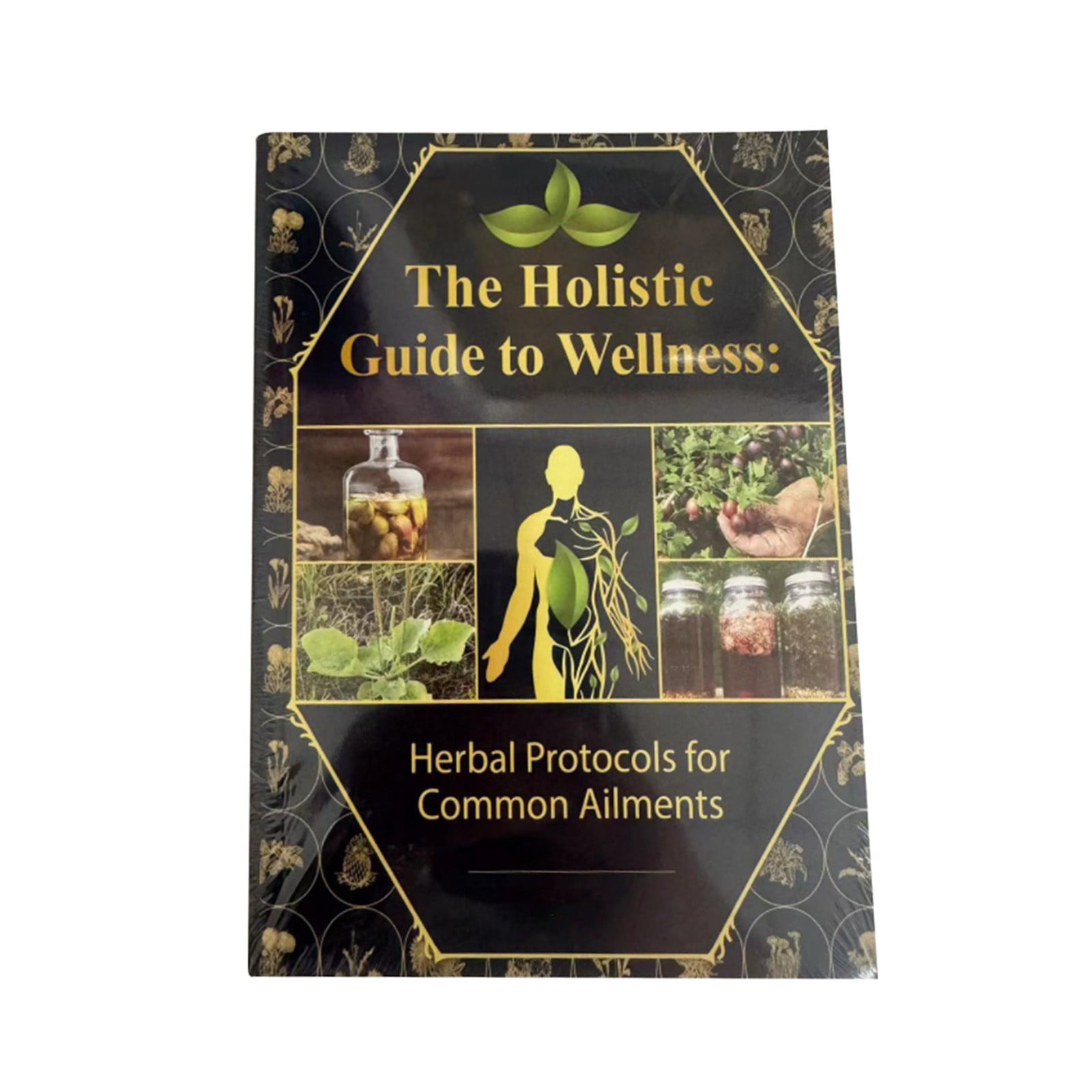 Lost Books of The Bible The Holistic Guide To Wellness Herbal Protocols