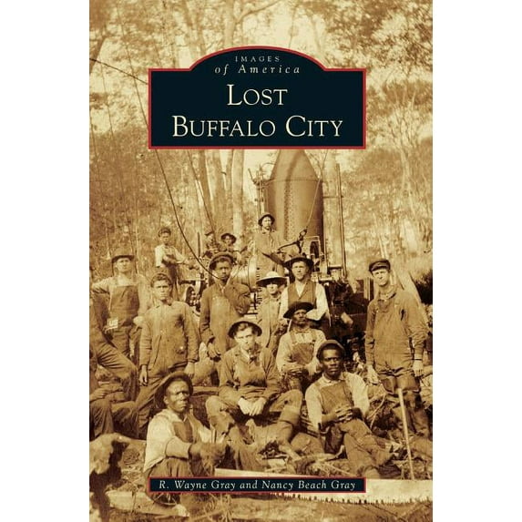 Lost Buffalo City (Hardcover)